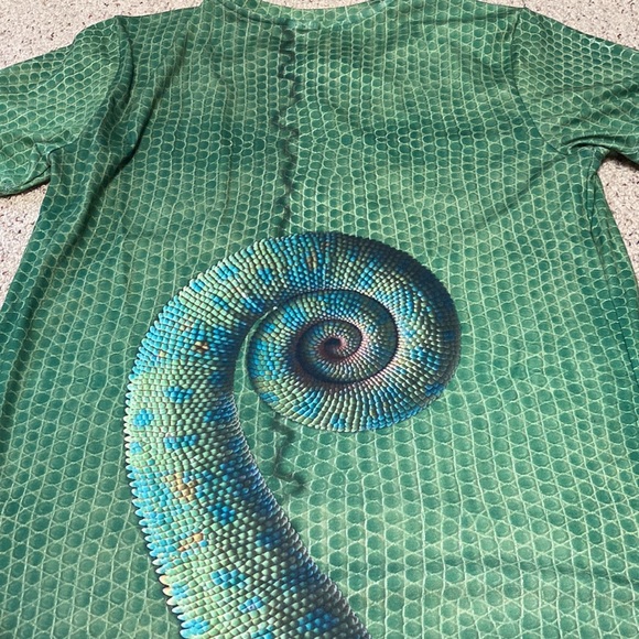 Pascal from Tangled - Picture 1 of 4